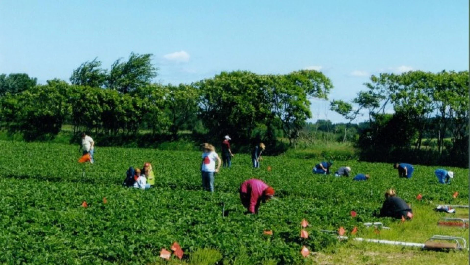 Glendale Farms Inc.